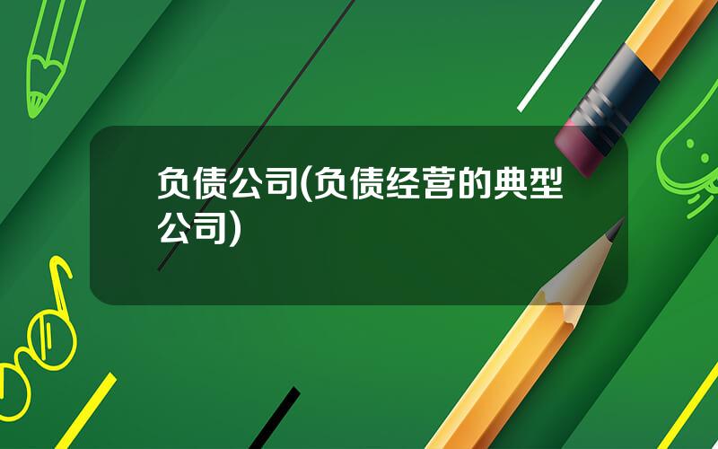 负债公司(负债经营的典型公司)