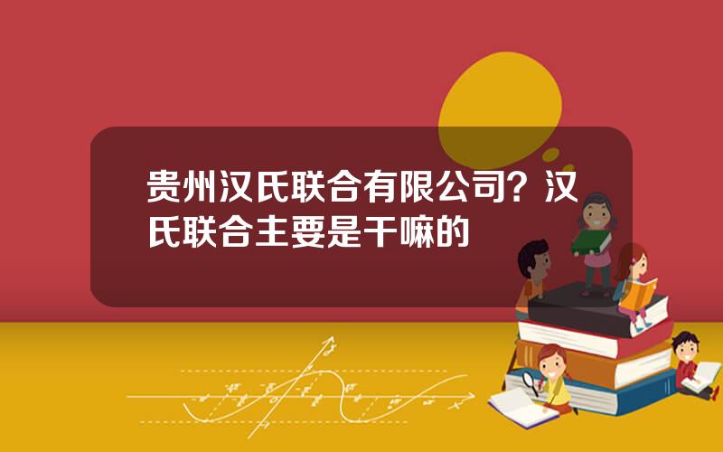 贵州汉氏联合有限公司？汉氏联合主要是干嘛的
